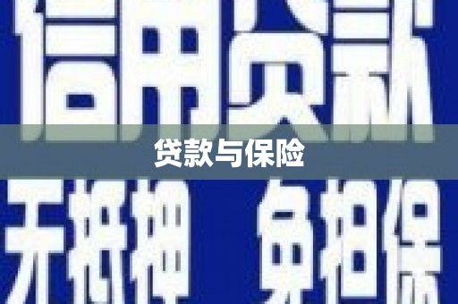 泰兴贷款与保险