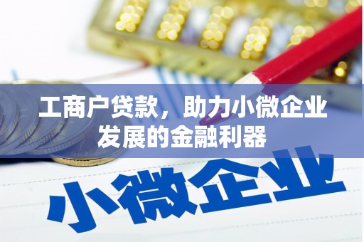 泰兴工商户贷款，助力小微企业发展的金融利器