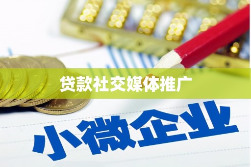 泰兴贷款社交媒体推广