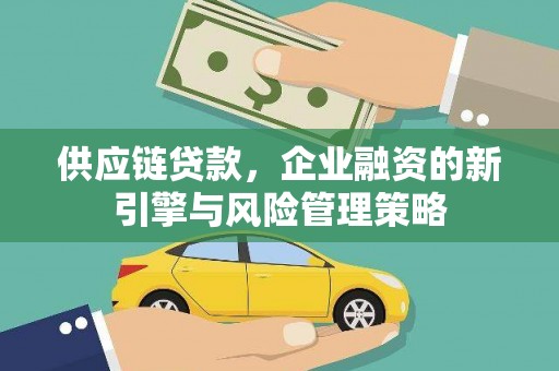 泰兴供应链贷款，企业融资的新引擎与风险管理策略