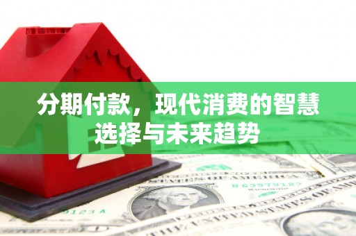 泰兴分期付款，现代消费的智慧选择与未来趋势