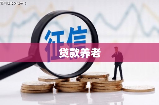 泰兴贷款养老