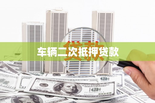 泰兴车辆二次抵押贷款