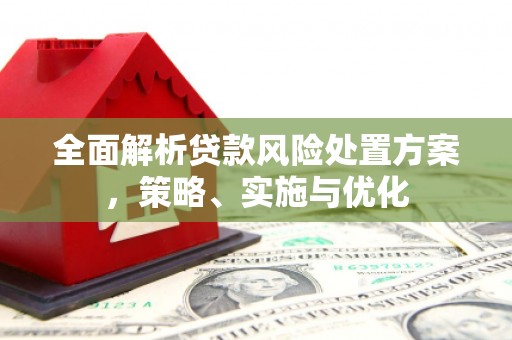 泰兴全面解析贷款风险处置方案，策略、实施与优化