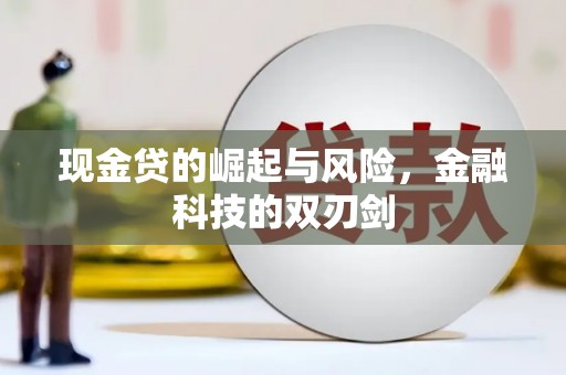 泰兴现金贷的崛起与风险，金融科技的双刃剑