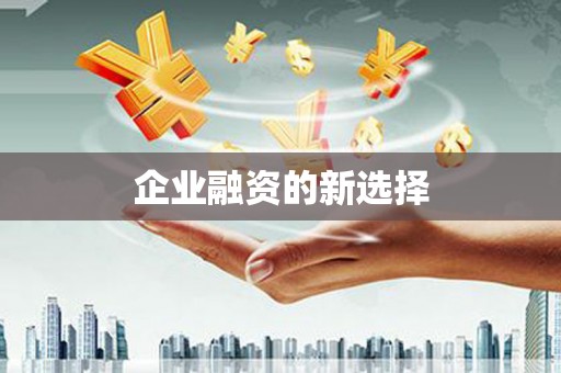 泰兴企业融资的新选择