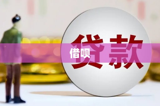 泰兴借呗