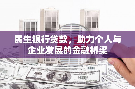 泰兴民生银行贷款，助力个人与企业发展的金融桥梁