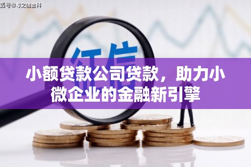 泰兴小额贷款公司贷款，助力小微企业的金融新引擎