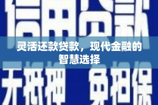 泰兴灵活还款贷款，现代金融的智慧选择