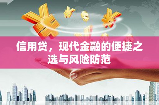 泰兴信用贷，现代金融的便捷之选与风险防范