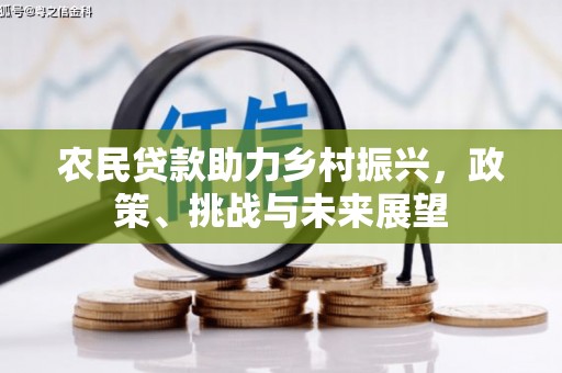 泰兴农民贷款助力乡村振兴，政策、挑战与未来展望