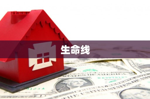 泰兴生命线