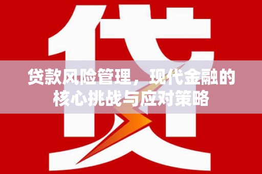 泰兴贷款风险管理，现代金融的核心挑战与应对策略