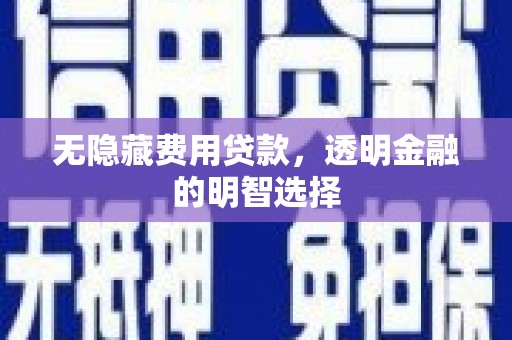 泰兴无隐藏费用贷款，透明金融的明智选择