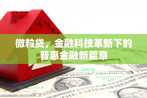 泰兴微粒贷，金融科技革新下的普惠金融新篇章