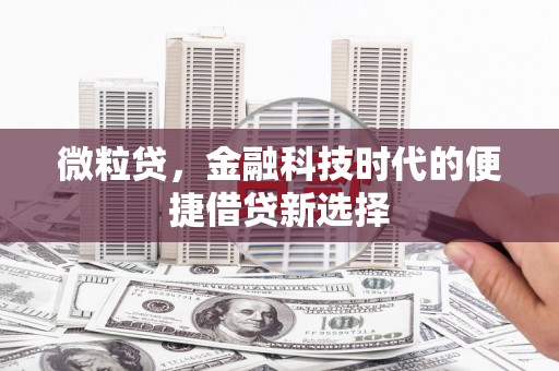 泰兴微粒贷，金融科技时代的便捷借贷新选择