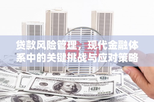 泰兴贷款风险管理，现代金融体系中的关键挑战与应对策略
