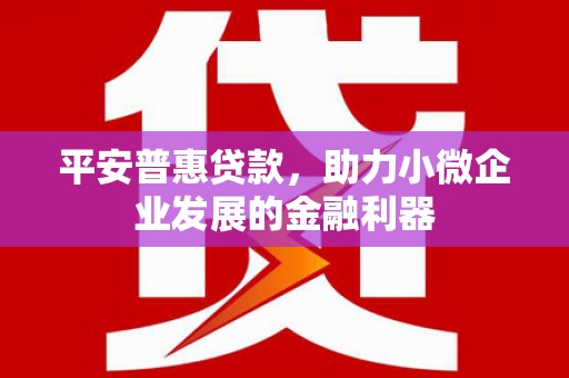 泰兴平安普惠贷款，助力小微企业发展的金融利器