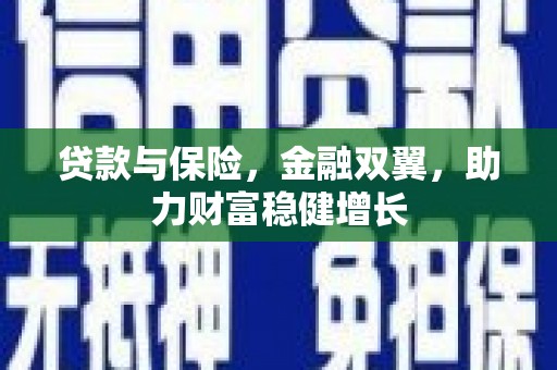 泰兴贷款与保险，金融双翼，助力财富稳健增长