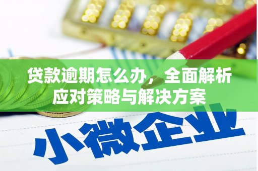 泰兴贷款逾期怎么办，全面解析应对策略与解决方案