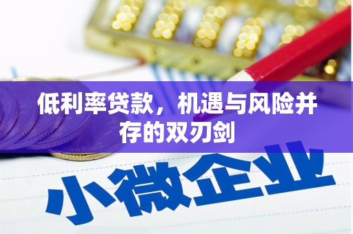 泰兴低利率贷款，机遇与风险并存的双刃剑